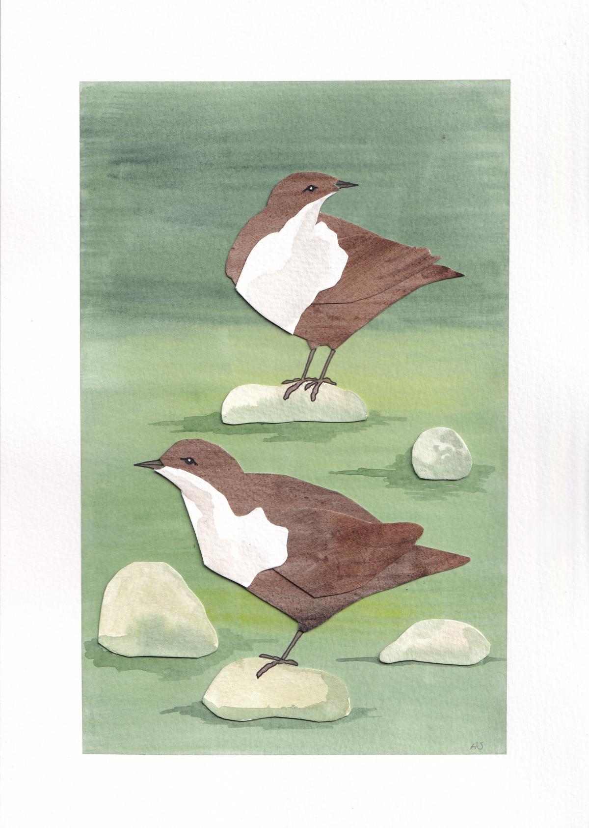 Dipper